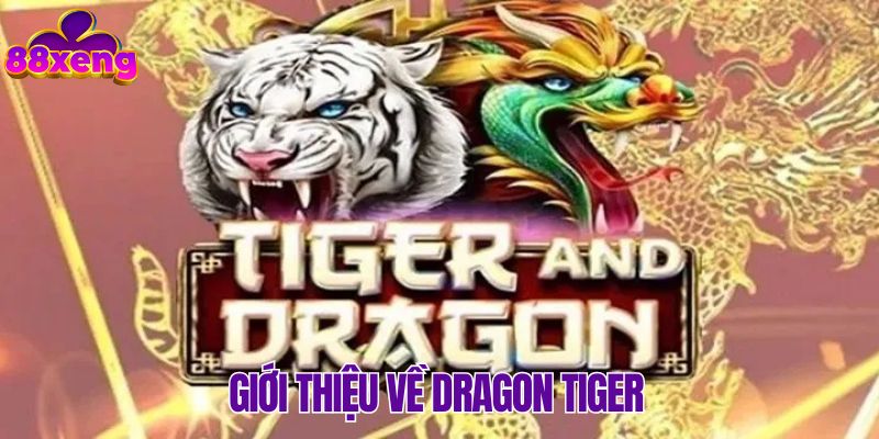 Từng nét cơ bản giới thiệu về Dragon Tiger